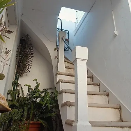 Roof Terrace In Historical Centre Apartment *